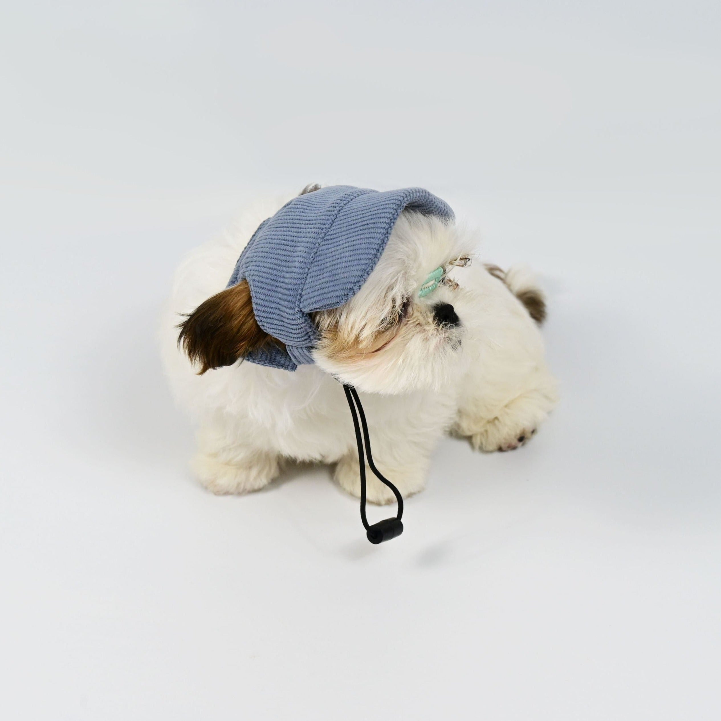 Corduroy Doggy Cap