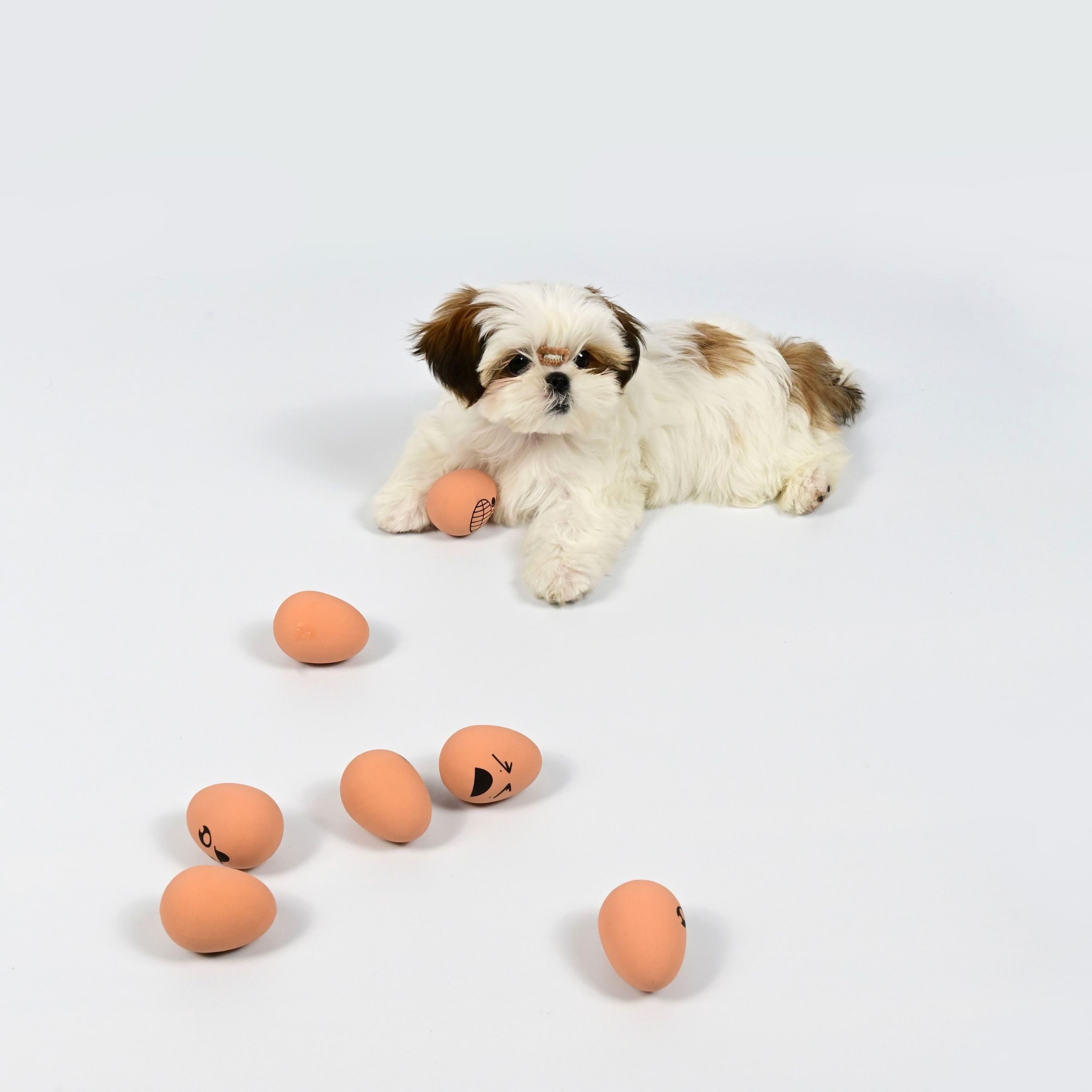 Bouncy Egg Dog Chew Toy