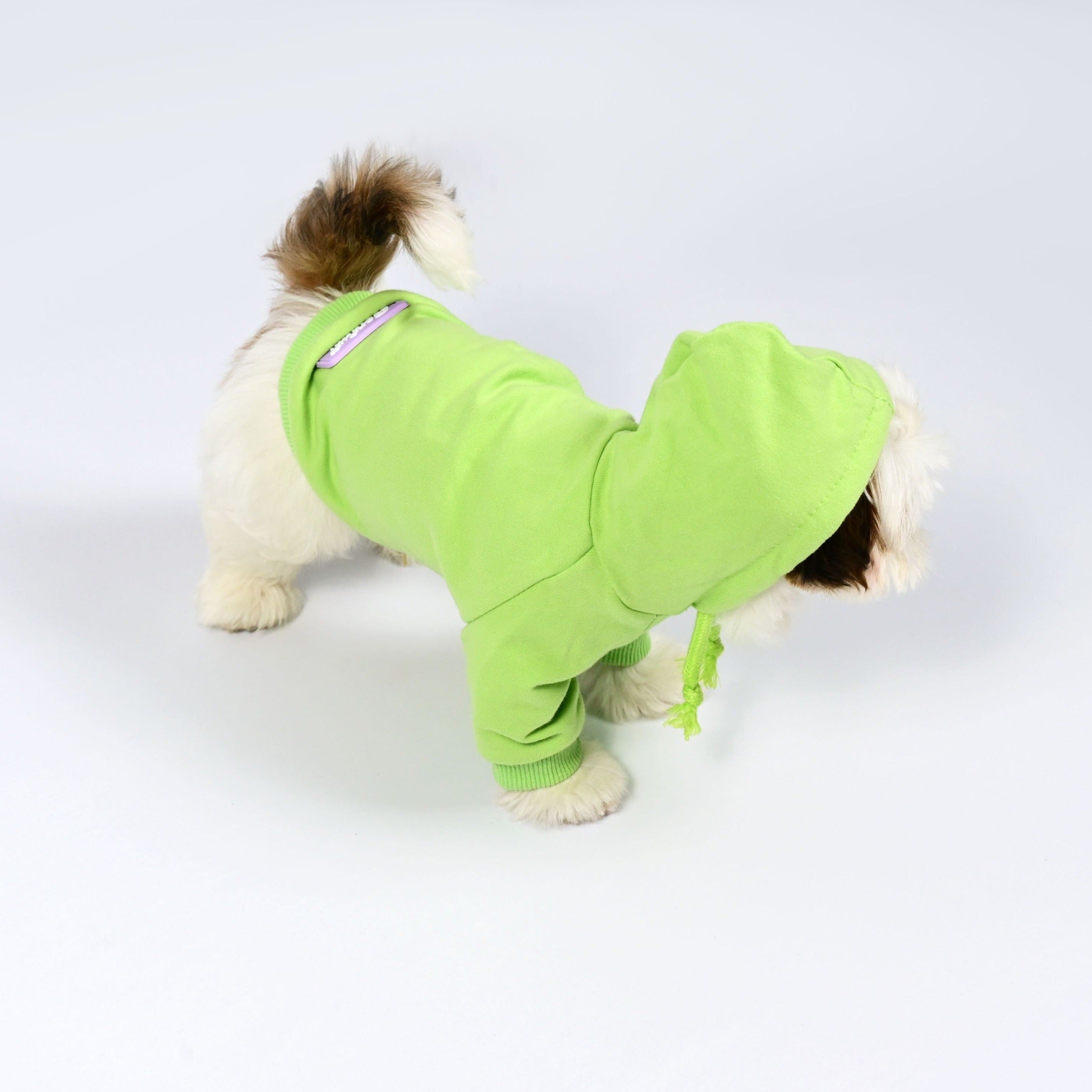 Doggy Hoodie