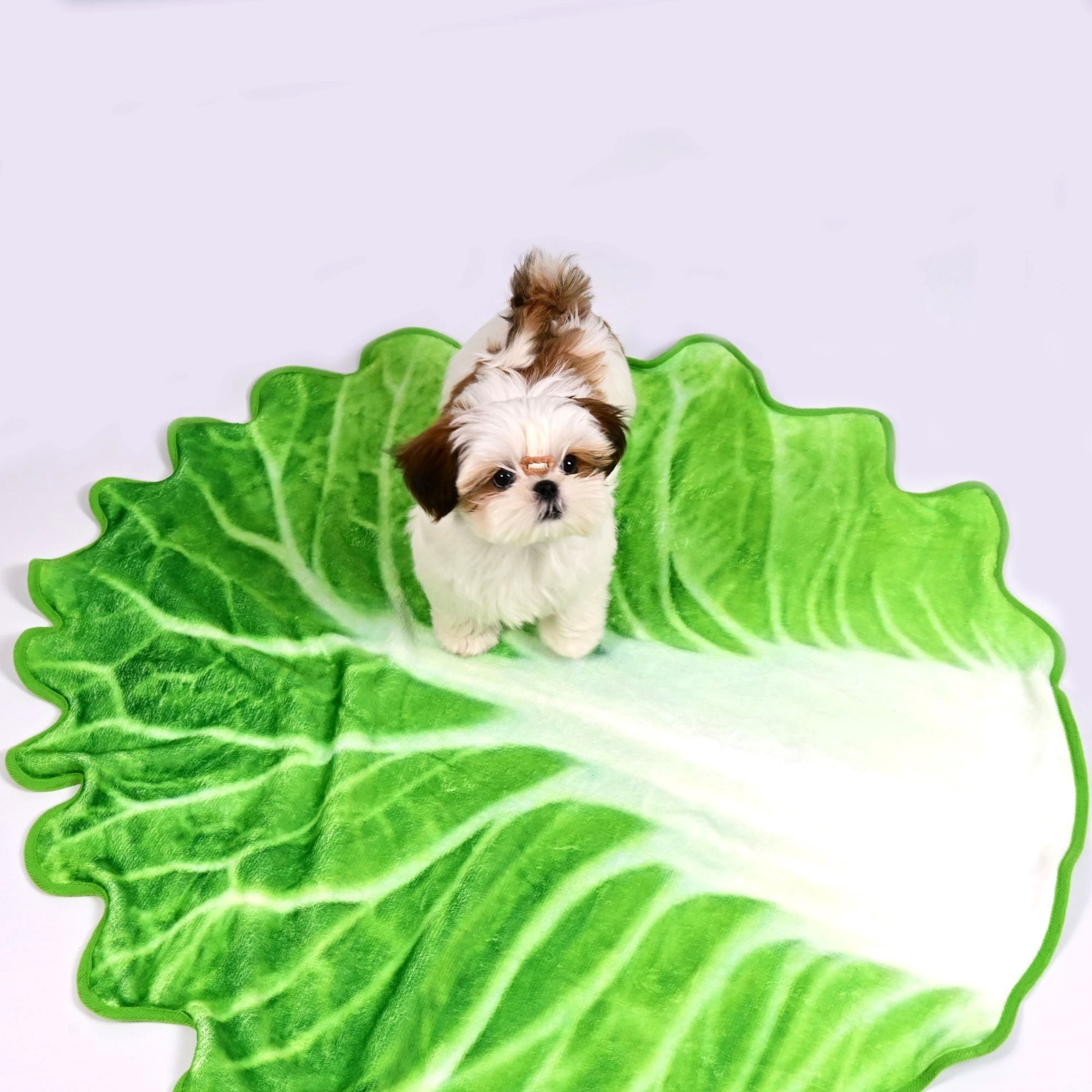 Lettuce Leaf Doggy Blanket