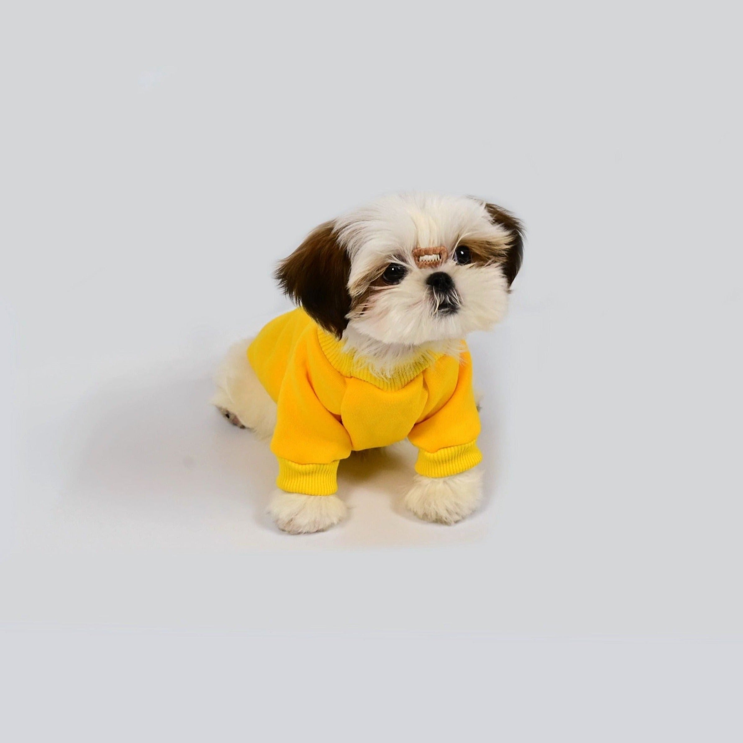 Doggy Sweatshirt